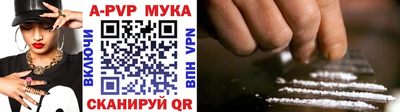 kraken вход  Кириши  A PVP СК 
