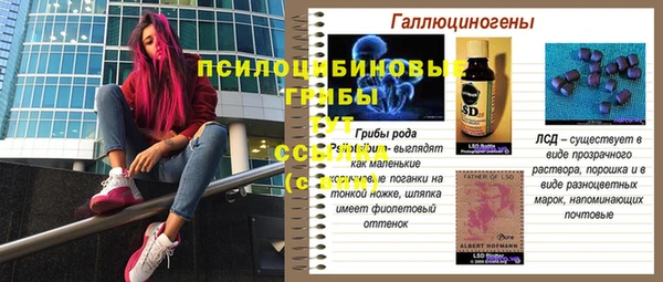 jwh Алзамай