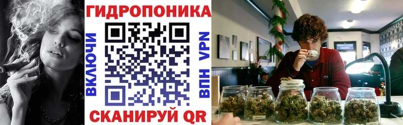 Конопля конопля  блэк спрут зеркало  shop клад  Кириши 